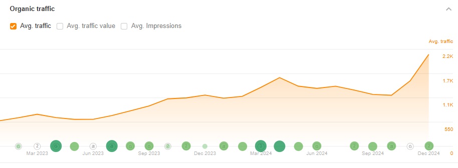 SEO campaign website traffic