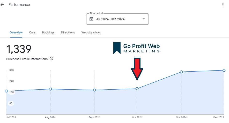 bike rental business gbp optimization results